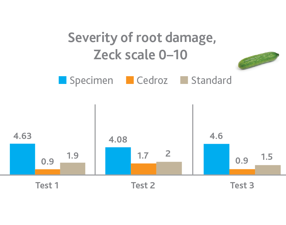 Root damage cucumber