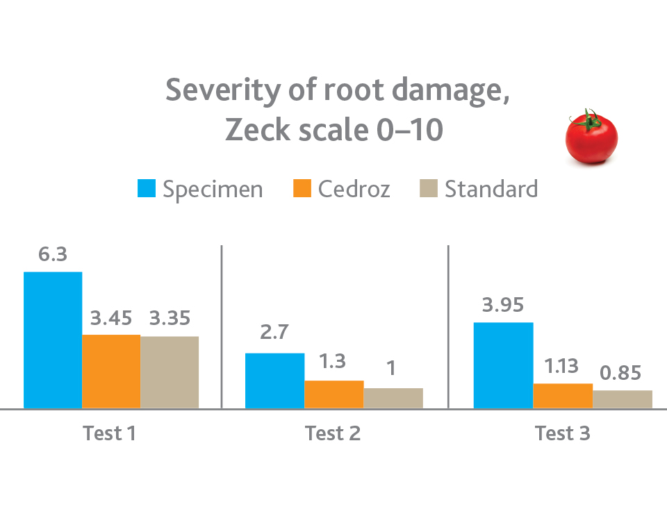 Root damage tomato