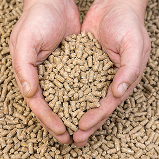 Propcorn Feed