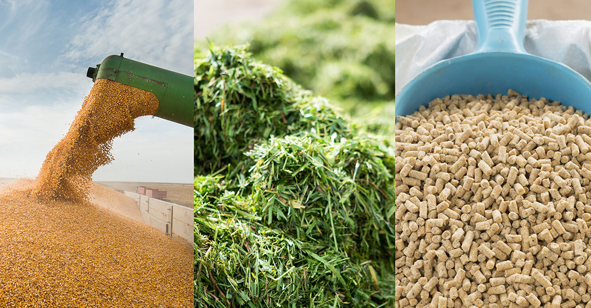 FAMI-QS animal feed membership