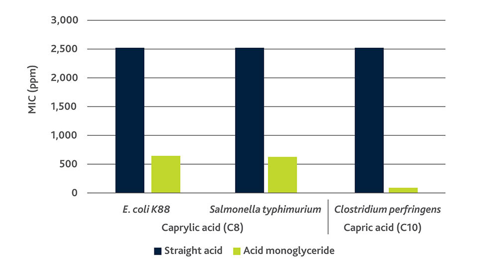 Graph comparing effects of straight acid and acid monoglyceride on GIT bacteria