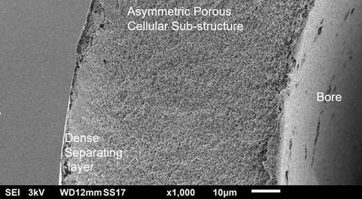 Asymmetric hollow fiber (HF) membrane cellulose ester