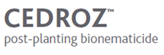 Cedroz logo