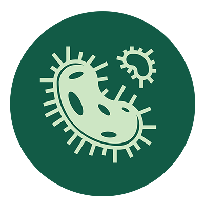 Bacteria icon