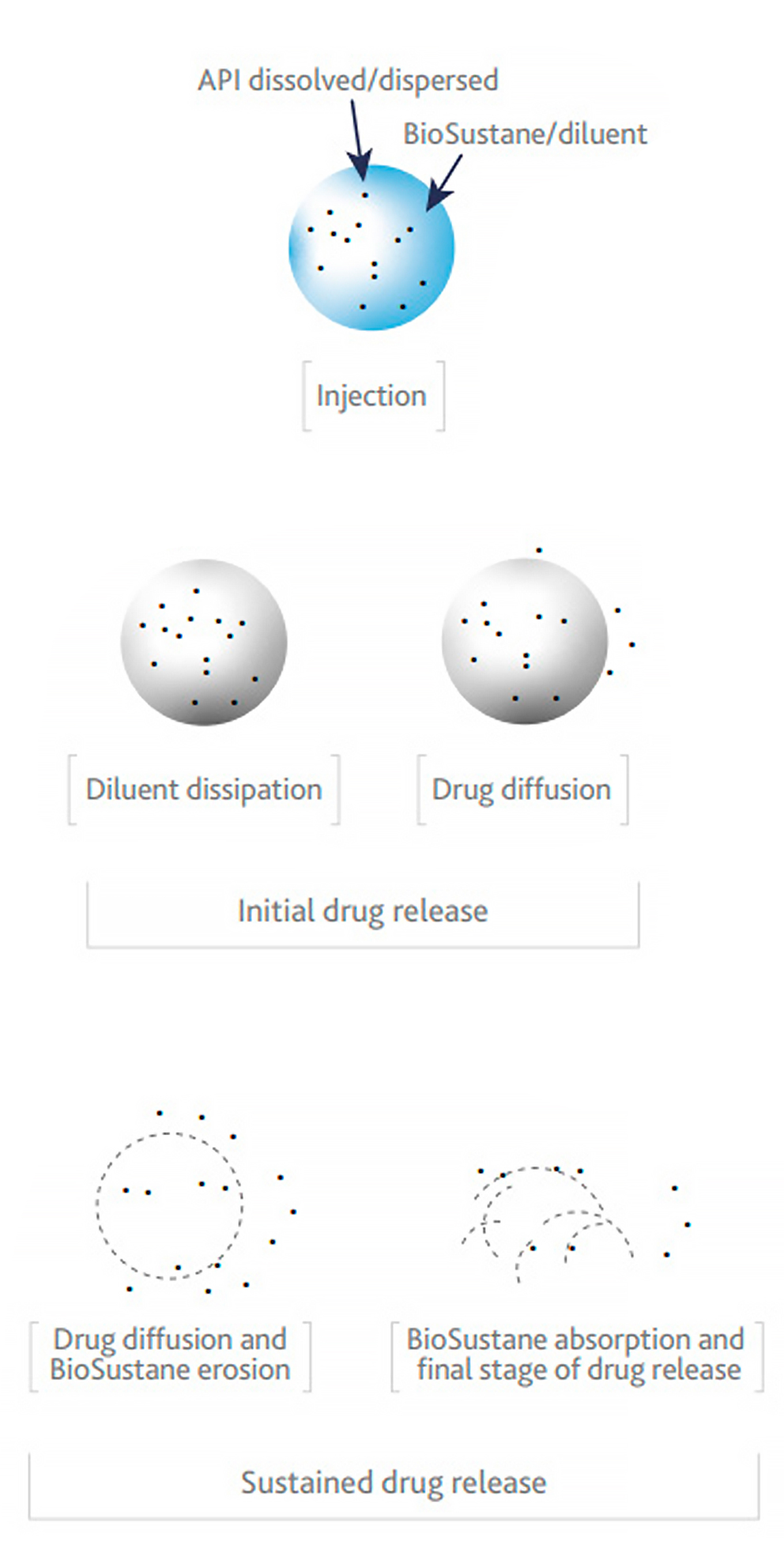A diagram shows how BioSustane is dispersed and released.