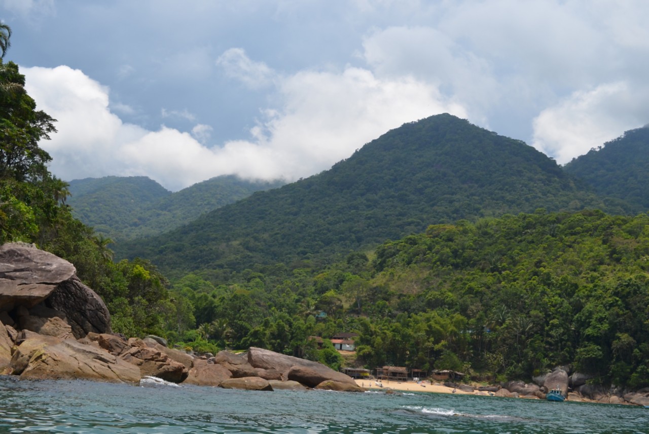 Parati/RJ 的 Mata Atlântica ©Andrea Herrera