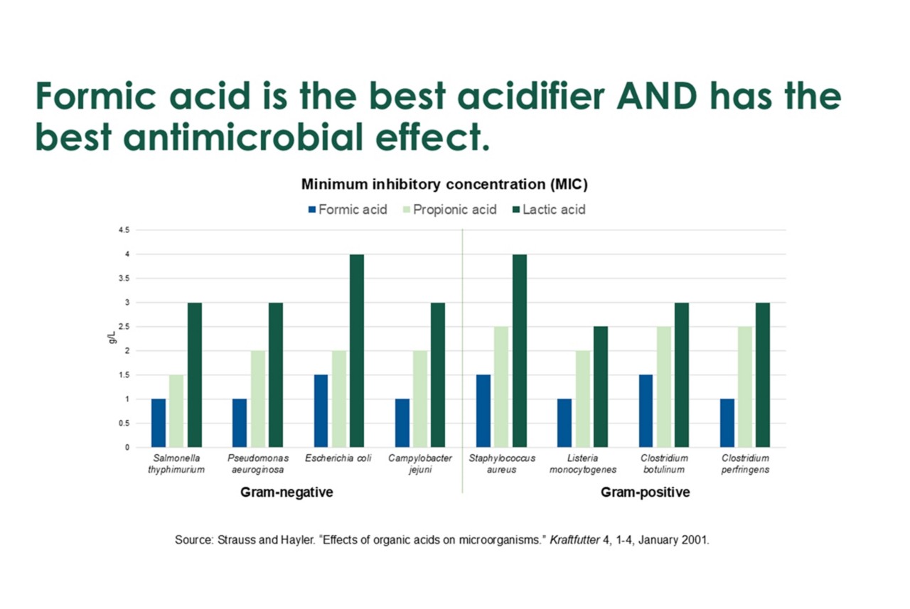 Bar chart compares minimum inhibitory concentration of formic acid, propionic acid and lactic acid against various gram-negative and gram-positive bacteria.