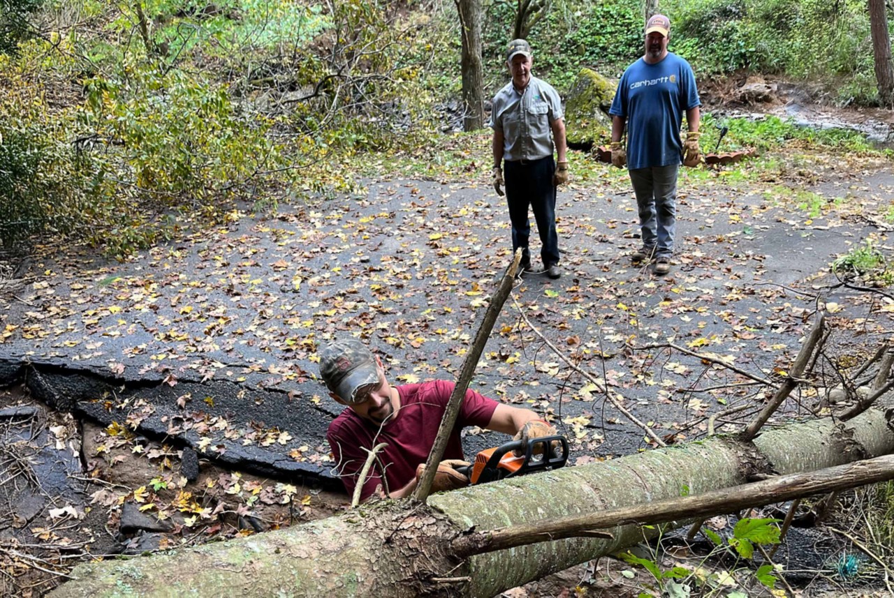 John Frady chainsawing a downed tree. 