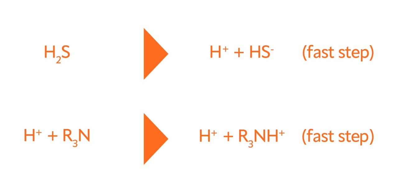 Hydrogen sulfide quickly transfers to the liquid phase, forming bisulfide and protonating an amine. 