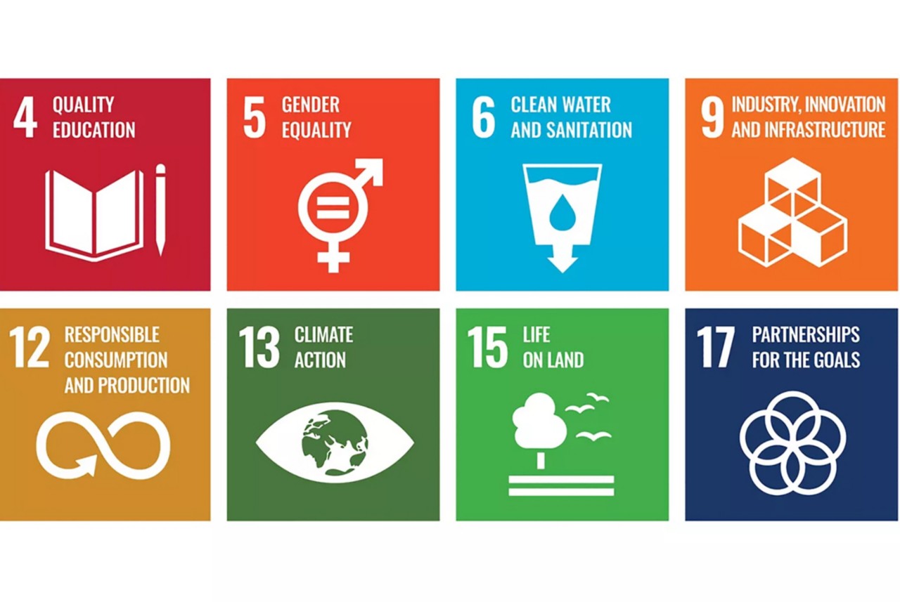 Naia sustainable development goals icons. 