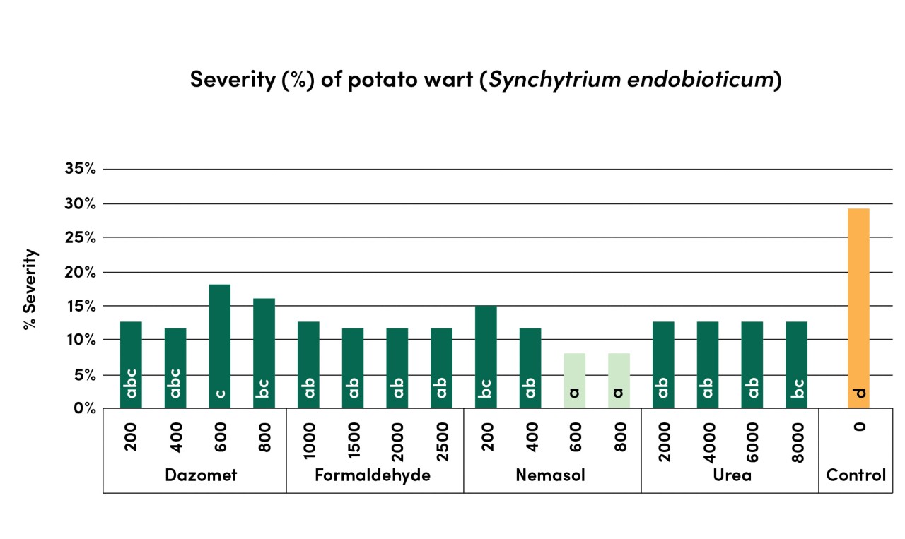 Graphic of severity of potato wart 