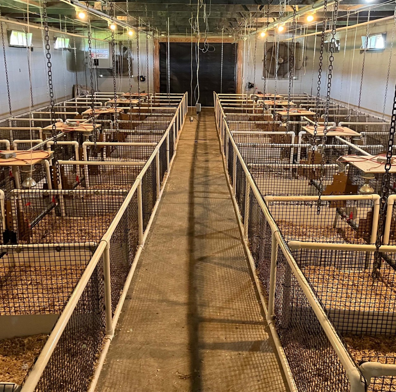 Multiple livestock pens on a farm.  