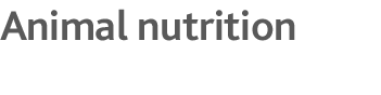 brandlogo
